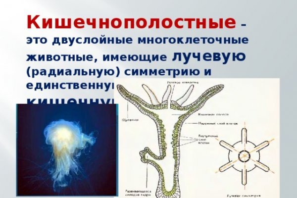 Kraken tor ссылка kraken014 com