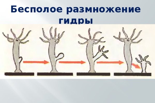 Кракен даркнет рабочая