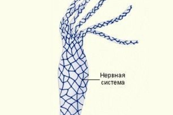 Kraken 23at